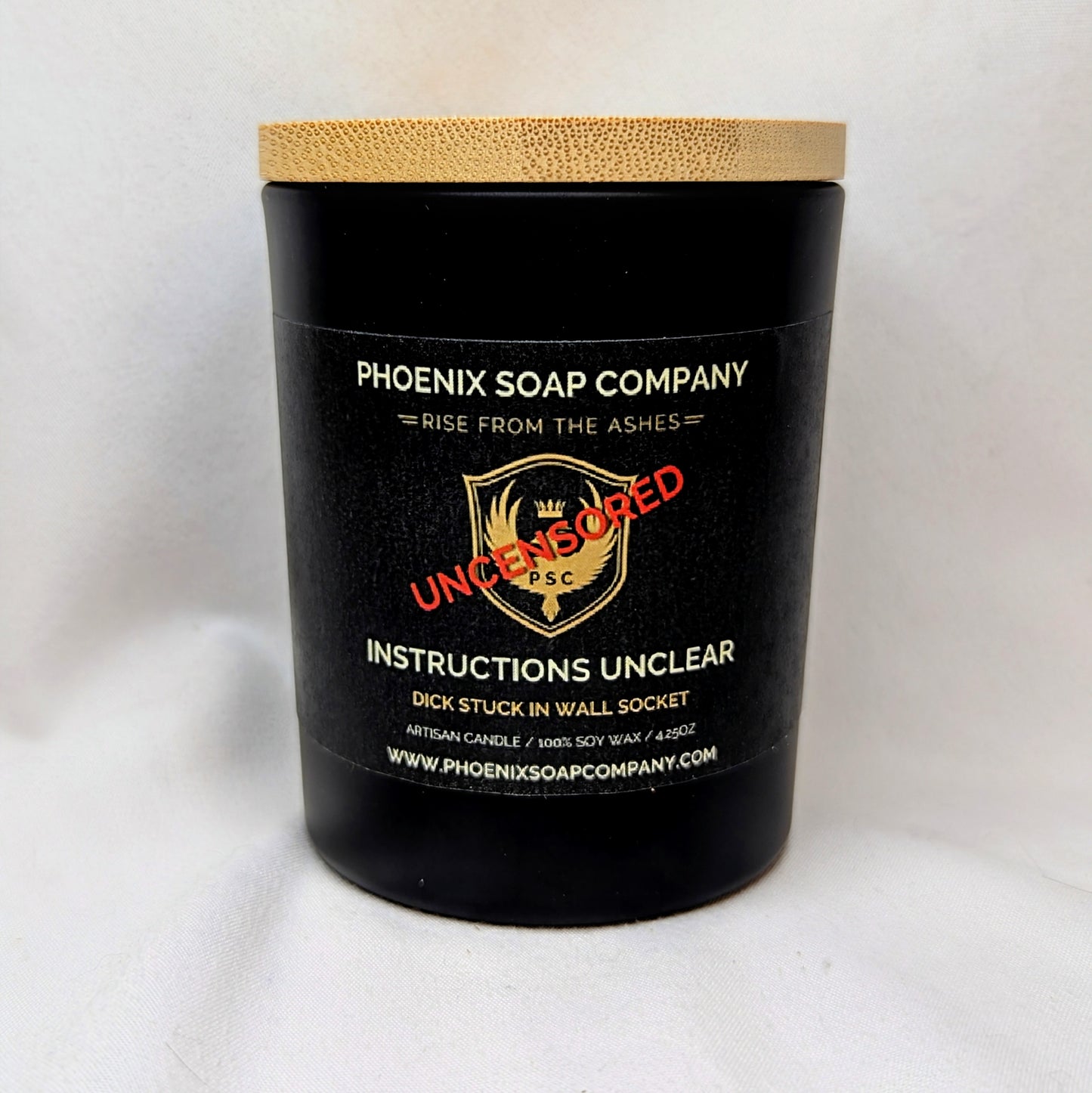 Instructions Unclear (Dick Stuck In Wall Socket) "Uncensored" Artisan Candles