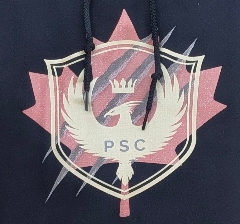 F*ck PTSD Hoodie